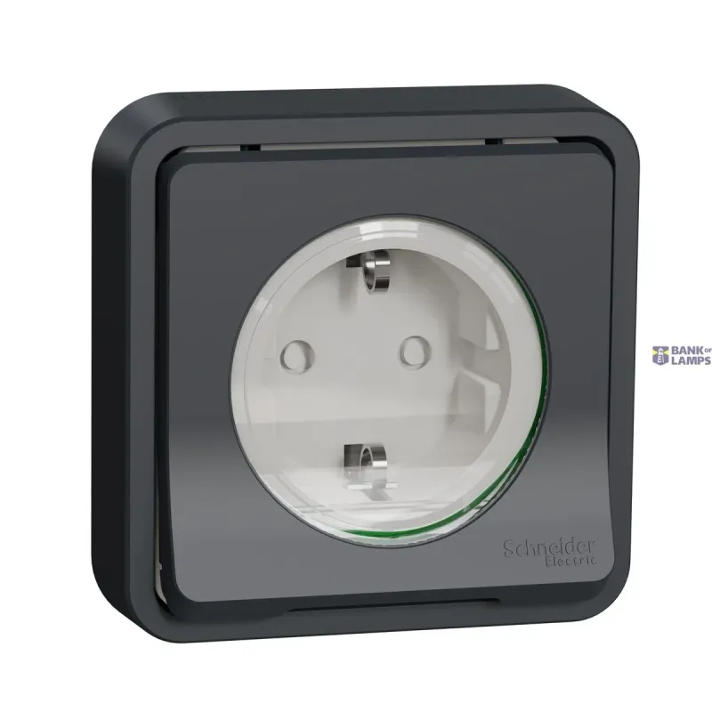 Schneider Electric Socket Outlet Mureva Styl, 2P + E, 16 A, 250 V, Grey MUR36132