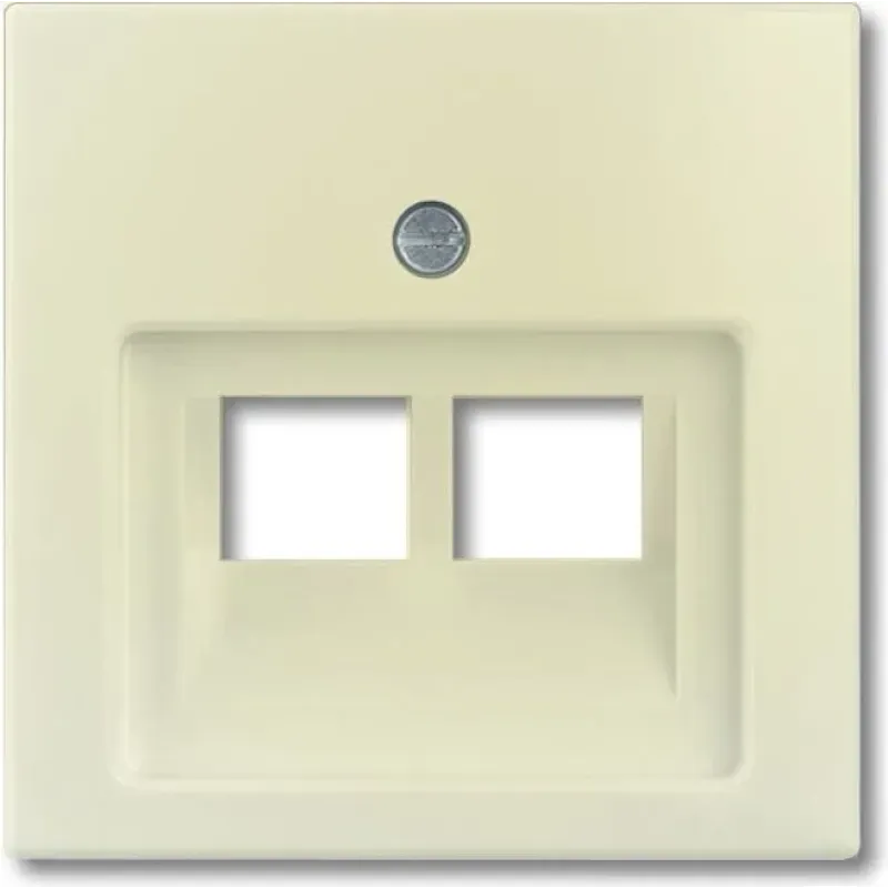 Busch-Jaeger Cover plate Basic 55 2×RJ45 ivory 2CKA001753A0097