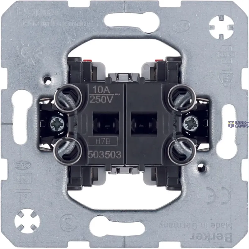 Berker Series Push-button 2 Maakcontacten, Gescheiden Ingang 503503