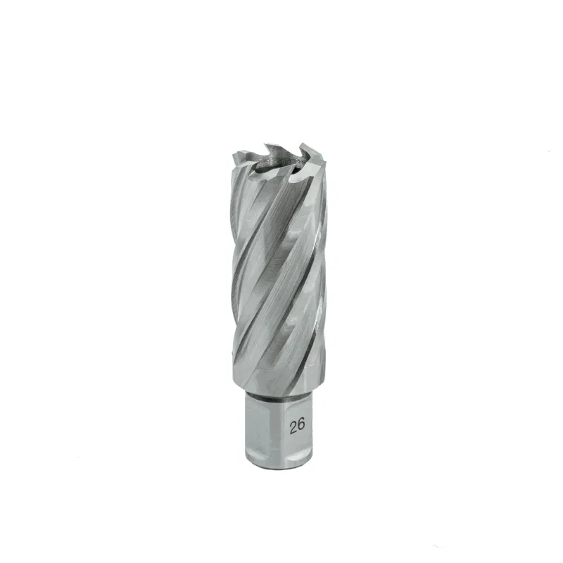 EUROBOOR Urbja kronis HSS 26x55 mm. EUROBOOR 65-9-HCL260