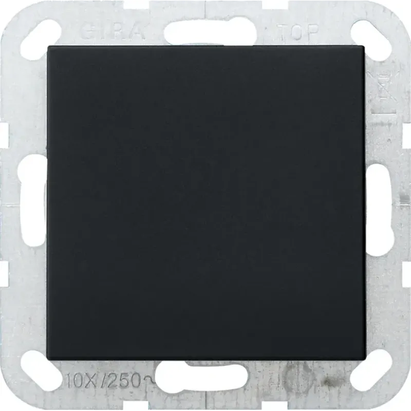 Gira Blank Cover Plate System 55 with Support Ring, Black Matt 0268005