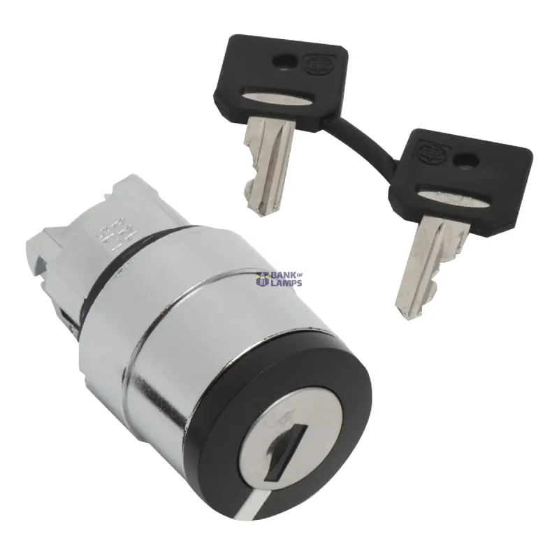 Schneider Electric Key Selector Switch Switch Head Harmony XB4 WITH, 3 ZB4BG020