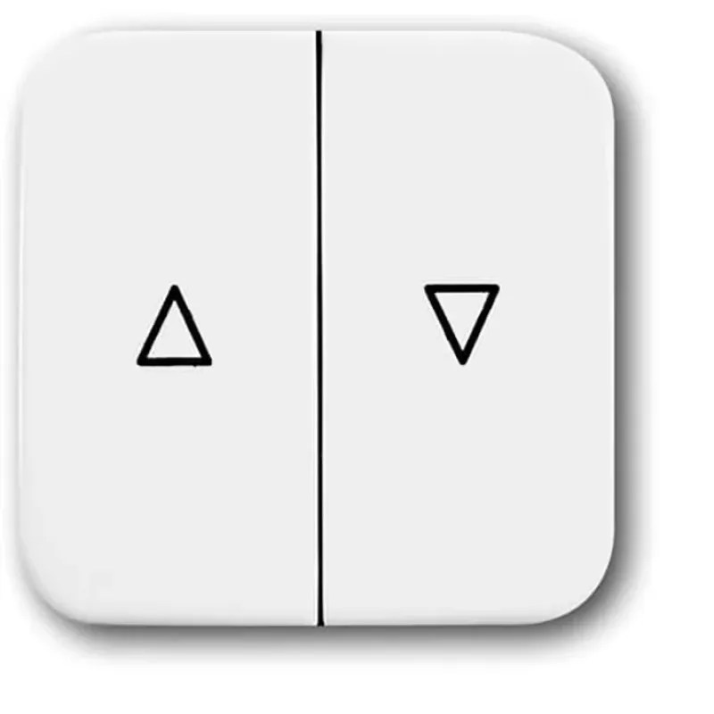 Busch-Jaeger 2504-214 CoverPlates (partly incl. Insert) carat® Alpine 2CKA001713A0163
