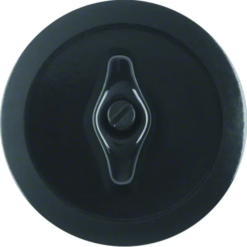 Berker Centre plate toggle, 1930, black glossy 164701