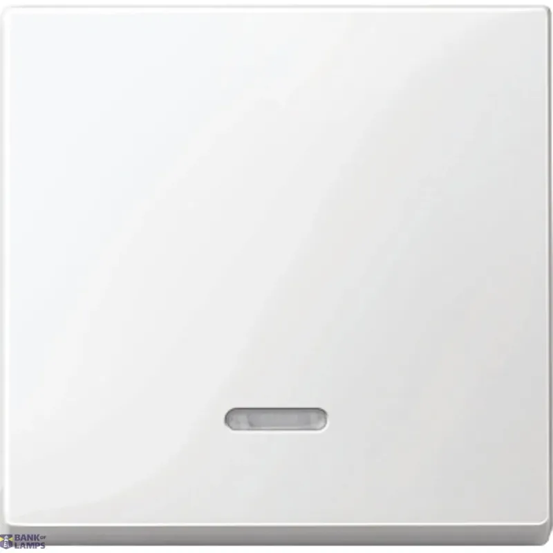 Schneider Electric Control Device Cover Plate Merten System M, White, Rocker MTN436019