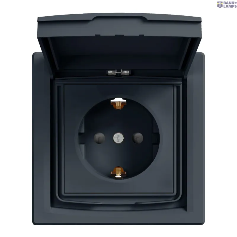 Schneider Electric Socket Outlet Asfora, IP44, Anthracite EPH3100371