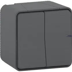Schneider Electric MUR35022 — Installation Switch Mureva Styl, IP55, Double Two-Way Switch, Surface-Mounted, Graphite