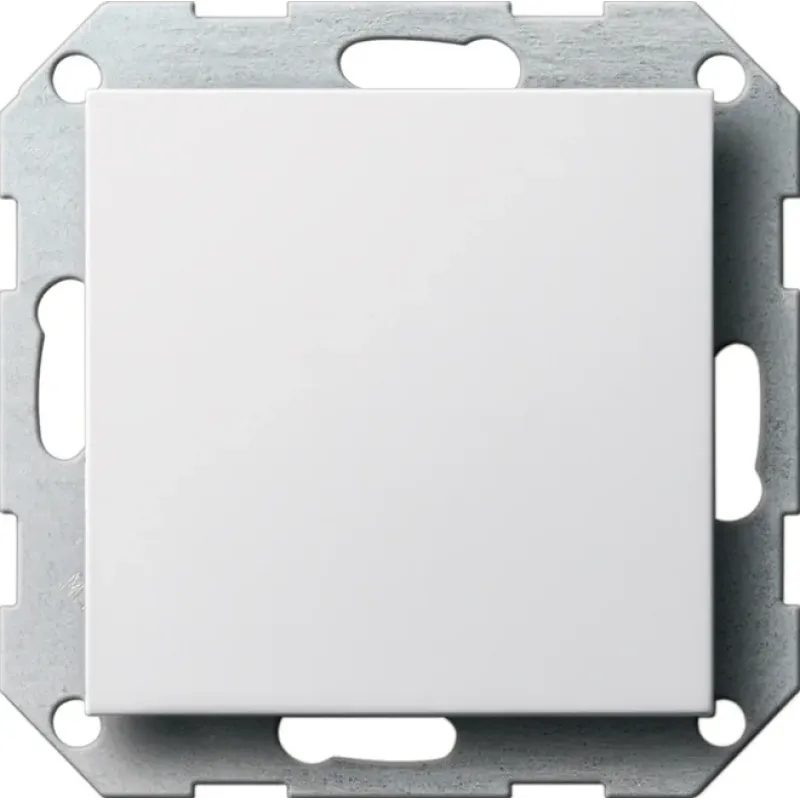 Gira Blank Cover Plate System 55 with Support Ring, Pure White 026827