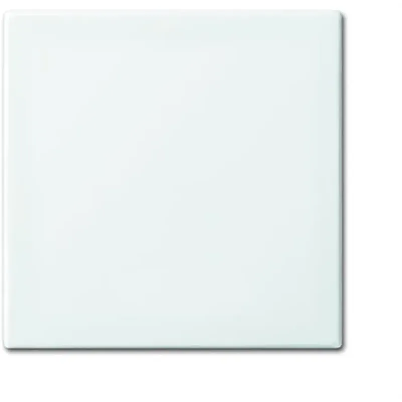 Busch-Jaeger 2506-914 CoverPlates (partly incl. Insert) Busch-balance® 2CKA001731A2002