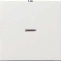 Gira 029003 — Rocker System 55 with Control Window, Pure White Glossy