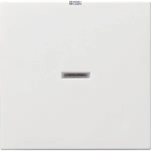 Gira 029003 — Rocker System 55 with Control Window, Pure White Glossy