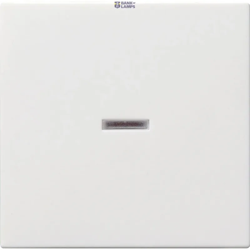 Gira Rocker System 55 with Control Window, Pure White Glossy 029003