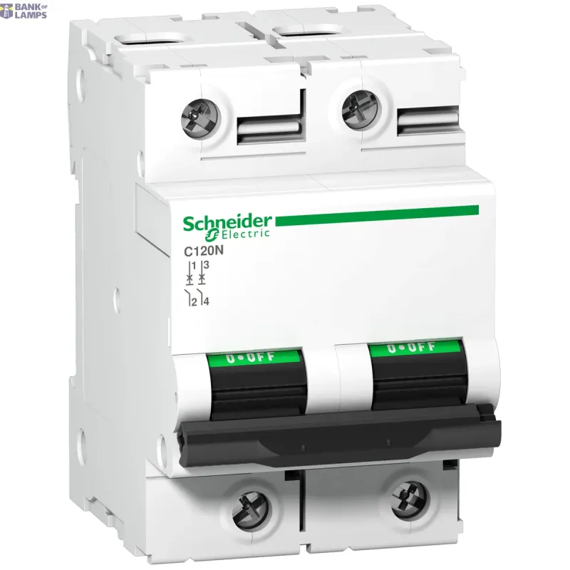 Schneider Electric Miniature Circuit Breaker Acti9 C120, 2P, 125 A, C Curve A9N18363