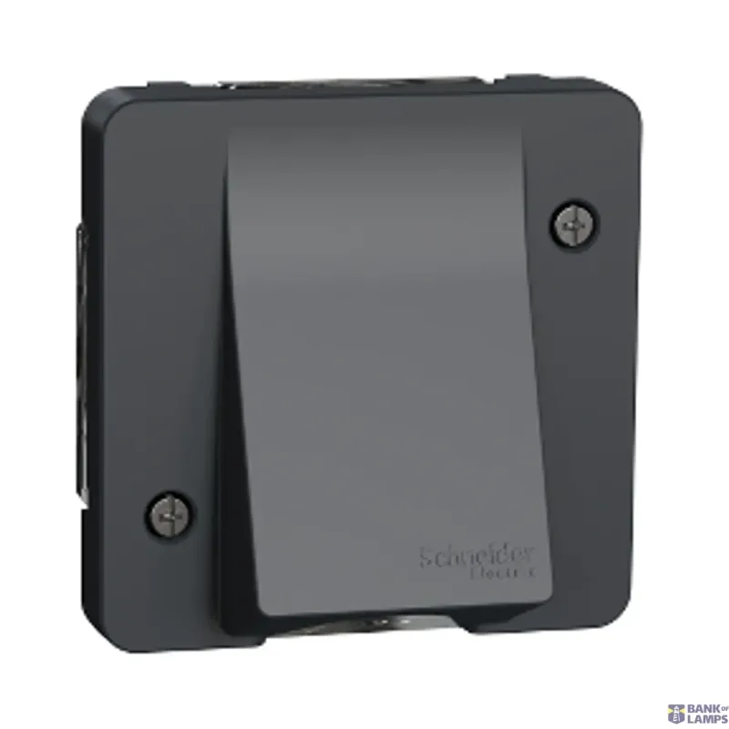 Schneider Electric Socket Outlet Mureva Styl, Grey MUR37931