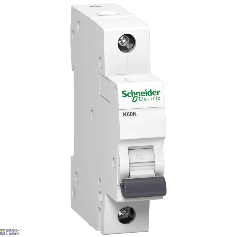 Schneider Electric Miniature Circuit Breaker Acti9 Lite K60N, 1P, 40A A9K01140