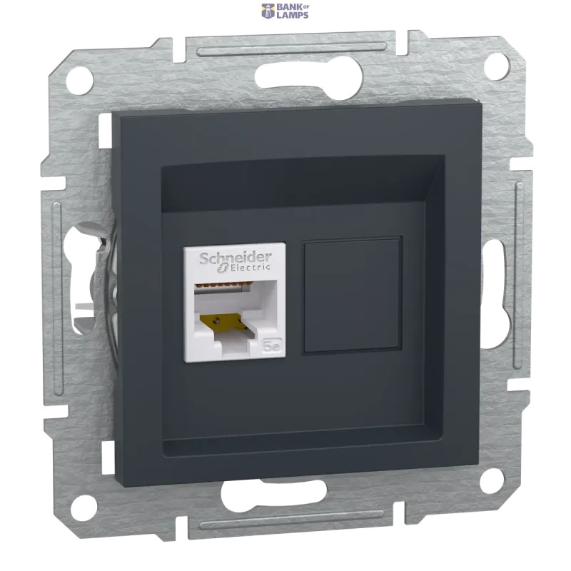 Schneider Electric Socket Asfora, UTP, Cat 5e, Anthracite EPH4300171