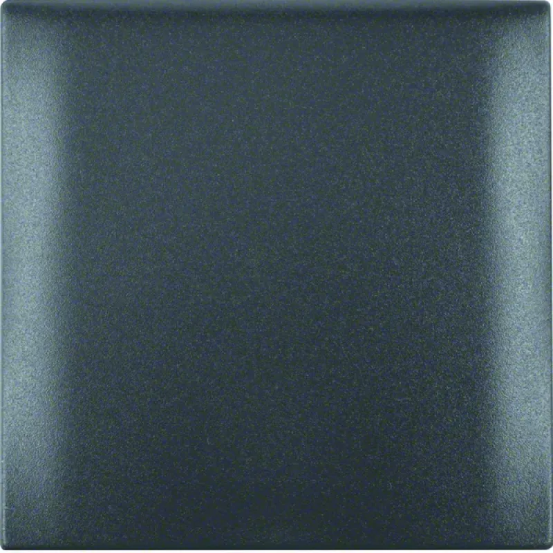 Berker Frame 1-Gang with hinged cover, Anthracite matt 918282505