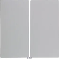 Berker 16238989 — Rocker 2-Gang, S.1/B.3/B.7, Polar White glossy