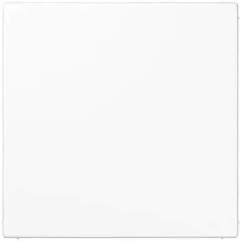 Jung Blank Plate LS 990 without Openings White LS994-0WW