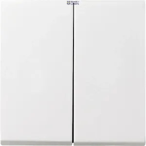 Gira 029503 — Rocker System 55 2-Gang, Pure White Glossy