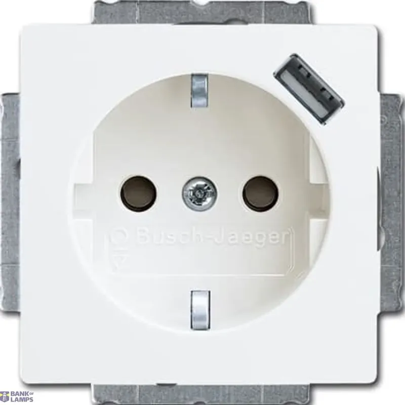 Busch-Jaeger 20 EUCBUSB-94-507 Cover Plates (partly incl. Insert) 2CKA002011A6193