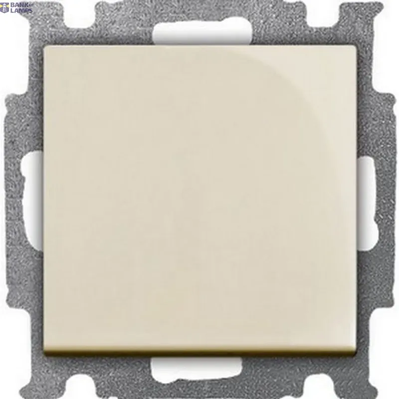 Busch-Jaeger 2006/1 UC-92-507 Cover Plates (partly incl. Insert) 2CKA001012A2146