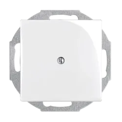 Busch-Jaeger 2CKA001715A0312 — 2538-94-507 Cover Plates (partly incl. Insert) Blind cap 0 gang alpine white - Basic55