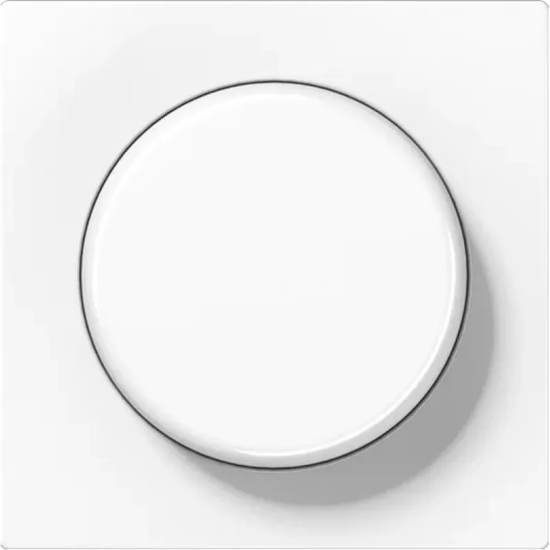 Jung Centre Plate for Rotary Dimmer A1540EXWW