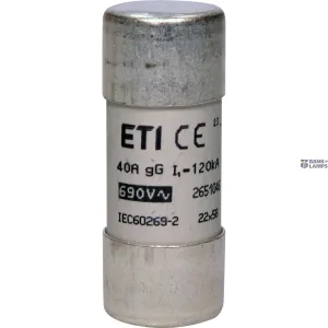 ETI 002651046 — Fuse link, CH22x58 gG 40A/690V