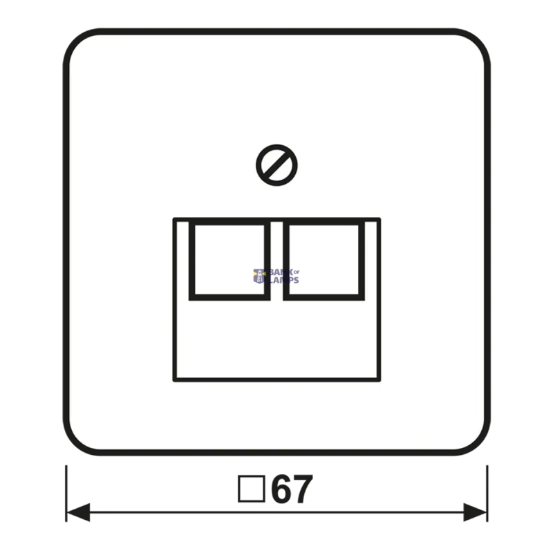 Jung Modular Jack Centre Plate CD, 2 x 8-Pole, For IAE/UAE CD569-2UAWW
