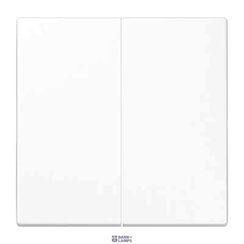 Jung Rocker LS, 2-Gang, White, 70 mm x 70 mm, Duroplastic LS995WW