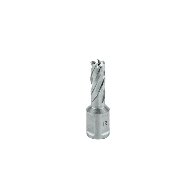 EUROBOOR Urbja kronis HSS 16x30 mm. EUROBOOR 65-9-HCS160