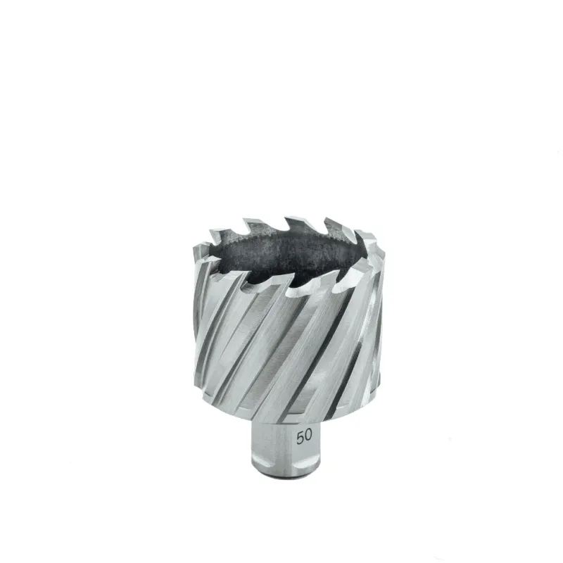 EUROBOOR Urbja kronis HSS 50x30 mm. EUROBOOR 65-9-HCS500