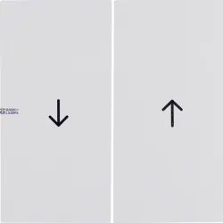 Berker 16258989 — Rocker 2-Gang with arrow symbol, S.1/B.3/B.7, Polar White glossy