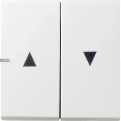 Gira 029403 — Rocker System 55 2-Gang with Arrow Symbol, Pure White Glossy