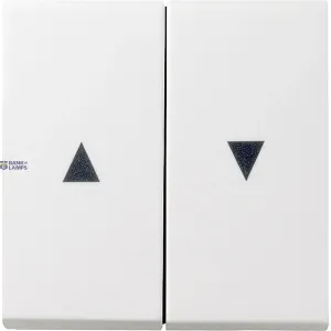 Gira 029403 — Rocker System 55 2-Gang with Arrow Symbol, Pure White Glossy