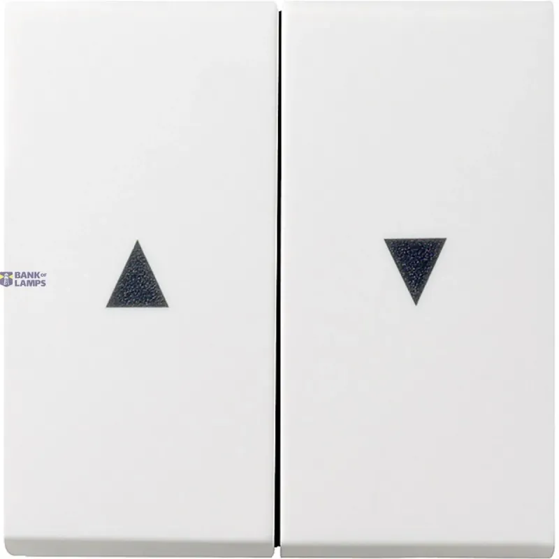Gira Rocker System 55 2-Gang with Arrow Symbol, Pure White Glossy 029403