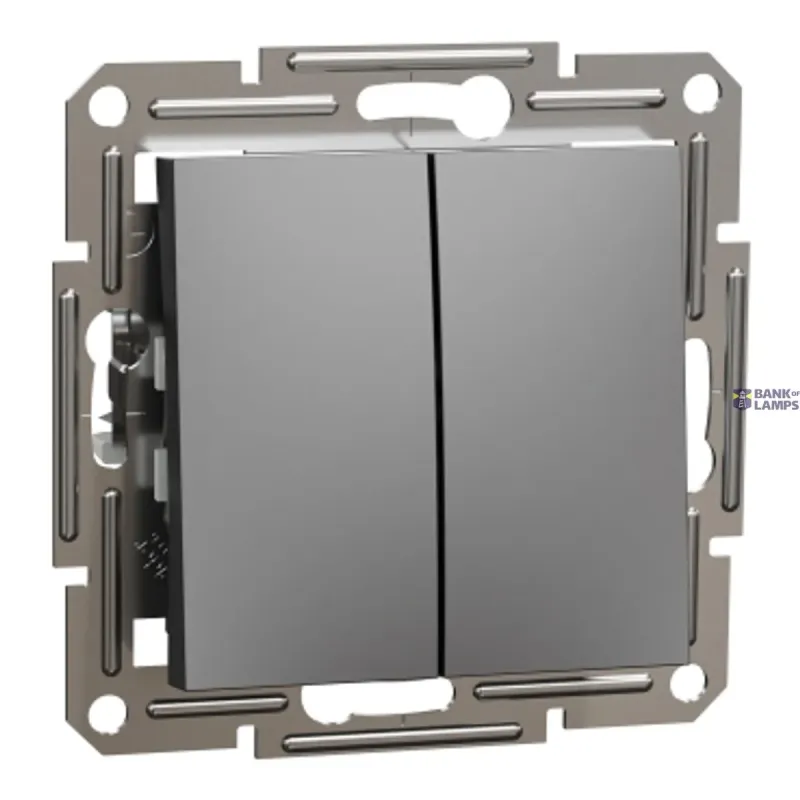 Schneider Electric Frame Asfora, 1P, Screwless Terminals, Anthracite, ole EPH0300171