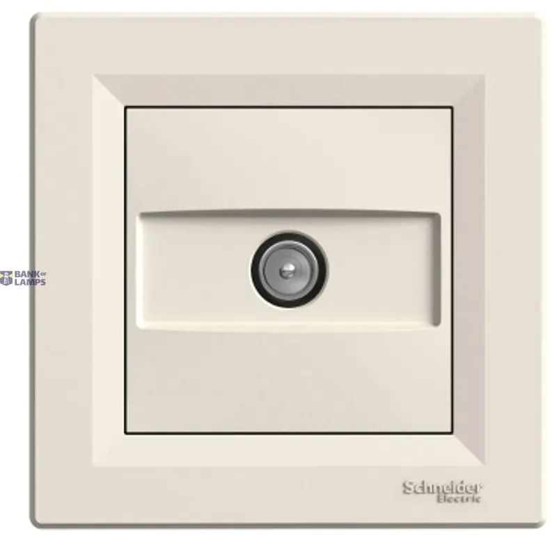 Schneider Electric Socket Asfora, 1dB, Cream EPH3200123