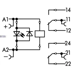 WAGO 788-312 — Relay Module 24 VDC, 2 Changeover Contacts, 8 A, 15 mm Wide