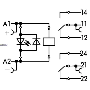WAGO 788-312 — Relay Module 24 VDC, 2 Changeover Contacts, 8 A, 15 mm Wide WAGO 788-312 — Relay Module 24 VDC, 2 Changeover Contacts, 8 A, 15 mm Wide