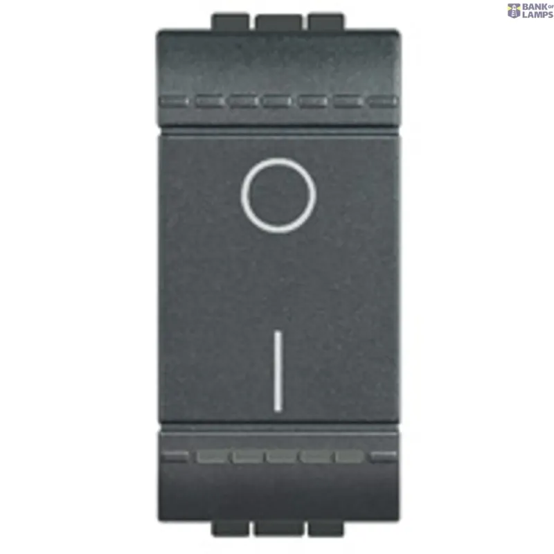 BTicino One-Way Switch LivingLight 16A, 250V, 2P, 16 AX, 1 Module L4002N