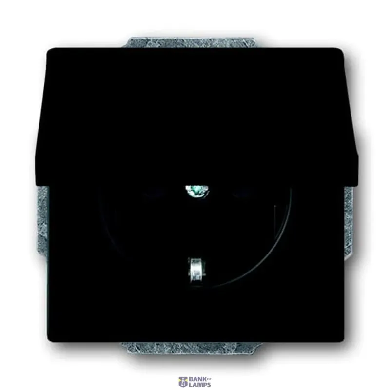 Busch-Jaeger 20 EUK-885 Socket insert Protective Contact (SCHUKO) with 2CKA002018A1495