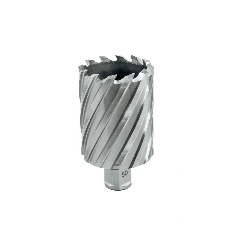 EUROBOOR Urbja kronis HSS 48x55 mm. EUROBOOR 65-9-HCL480