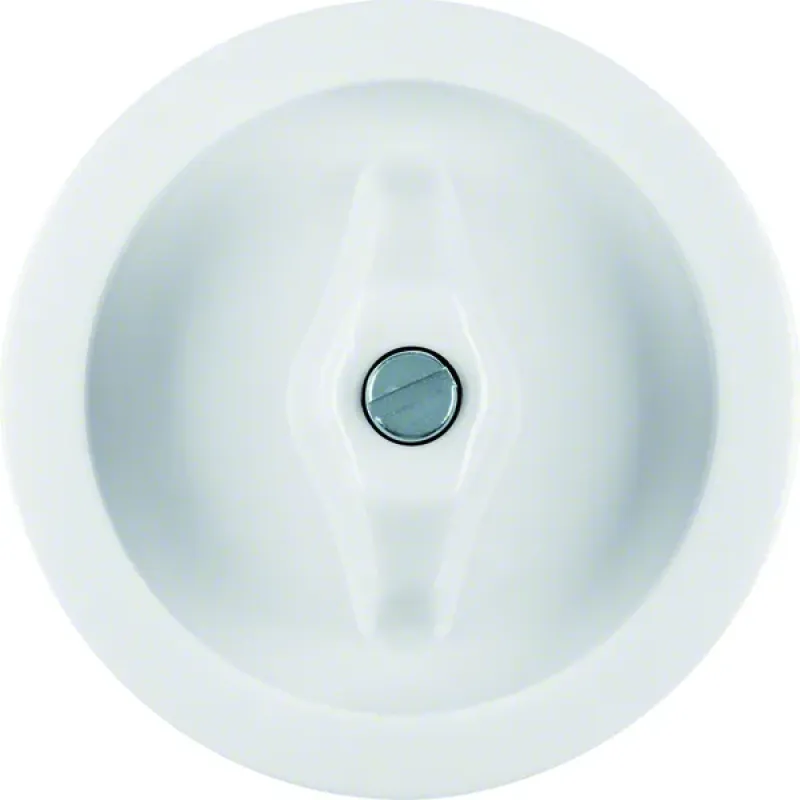 Berker Centre plate Toggle, 1930, Polar White glossy 1647