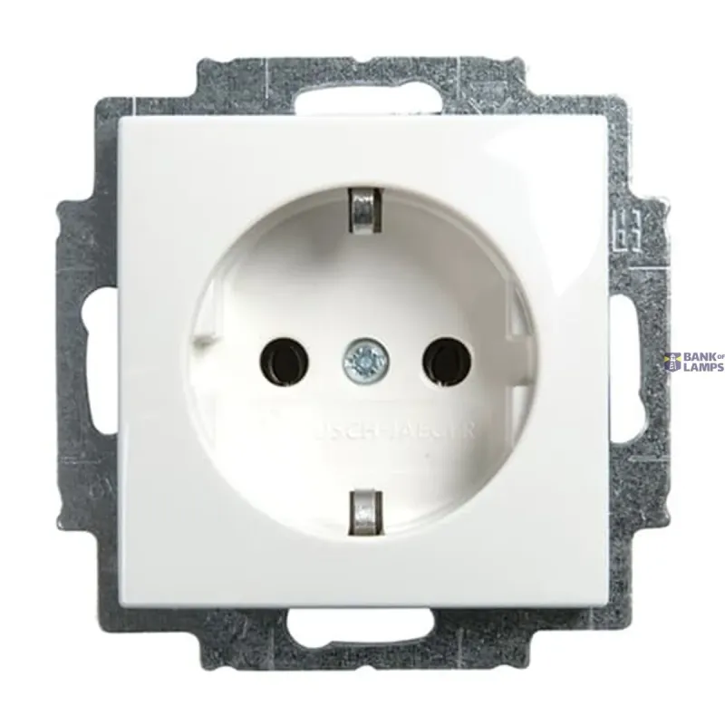 Busch-Jaeger Busch-Jaeger Schuko Socket Outlet Insert 20 EUC-914 Alpine 2CKA002011A6232