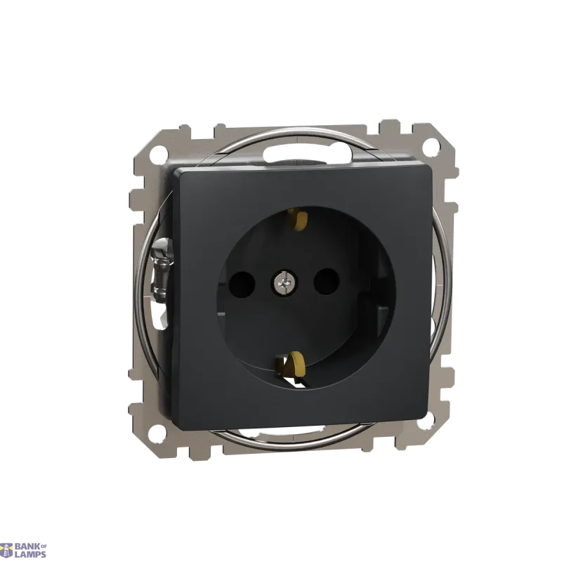 Schneider Electric Socket Outlet Sedna Design & Elements, Anthracite, Side SDD114021
