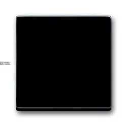 Busch-Jaeger 2CKA001751A3079 — 1786-81-500 Cover Plates (partly incl. Insert) Switch/push button Single rocker Without imprint anthracite - 63x63 Busch-Jaeger 2CKA001751A3079 — 1786-81-500 Cover Plates (partly incl. Insert) Switch/push button Single rocker Without imprint anthracite - 63x63