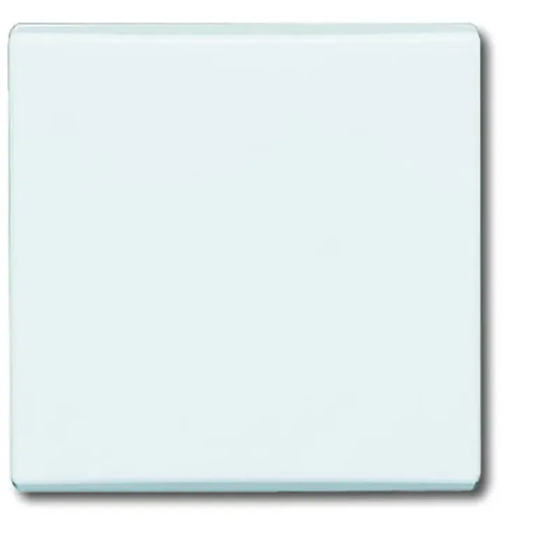Busch-Jaeger 2106-34 CoverPlates (partly incl. Insert) carat® Alpine 2CKA001731A1593