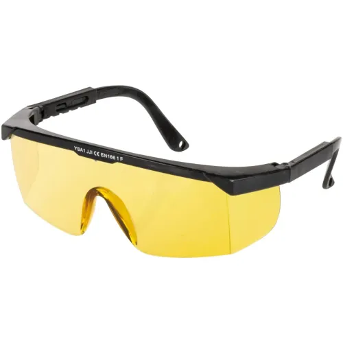 RICHMANN Dzidras brilles 42-C0001